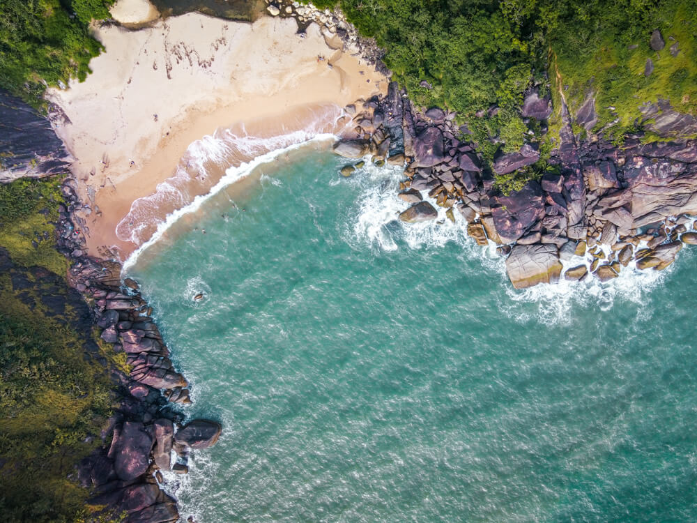 butterfly-beach-goa-india